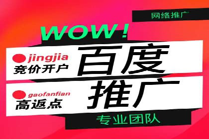 百度推广中SEO优化的成功案例分析